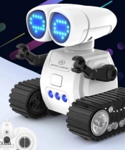 Đồ chơi Robot RC (2)